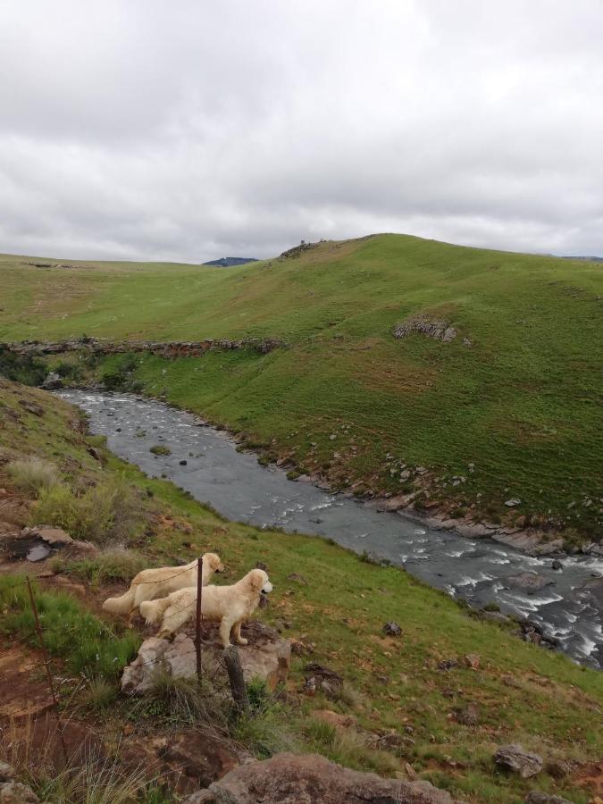 Sheeprun Farmstay Maclear Exterior foto