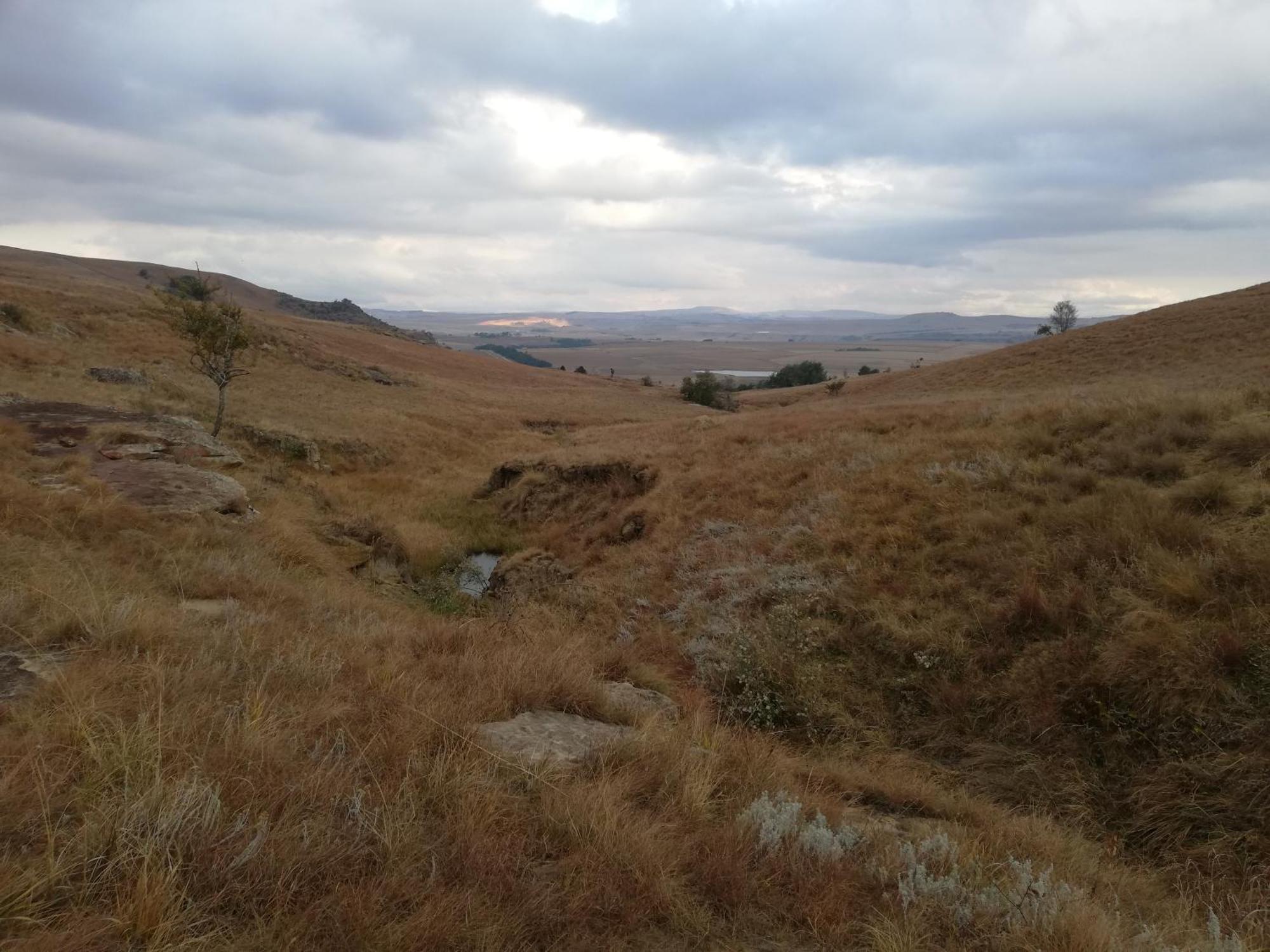 Sheeprun Farmstay Maclear Exterior foto