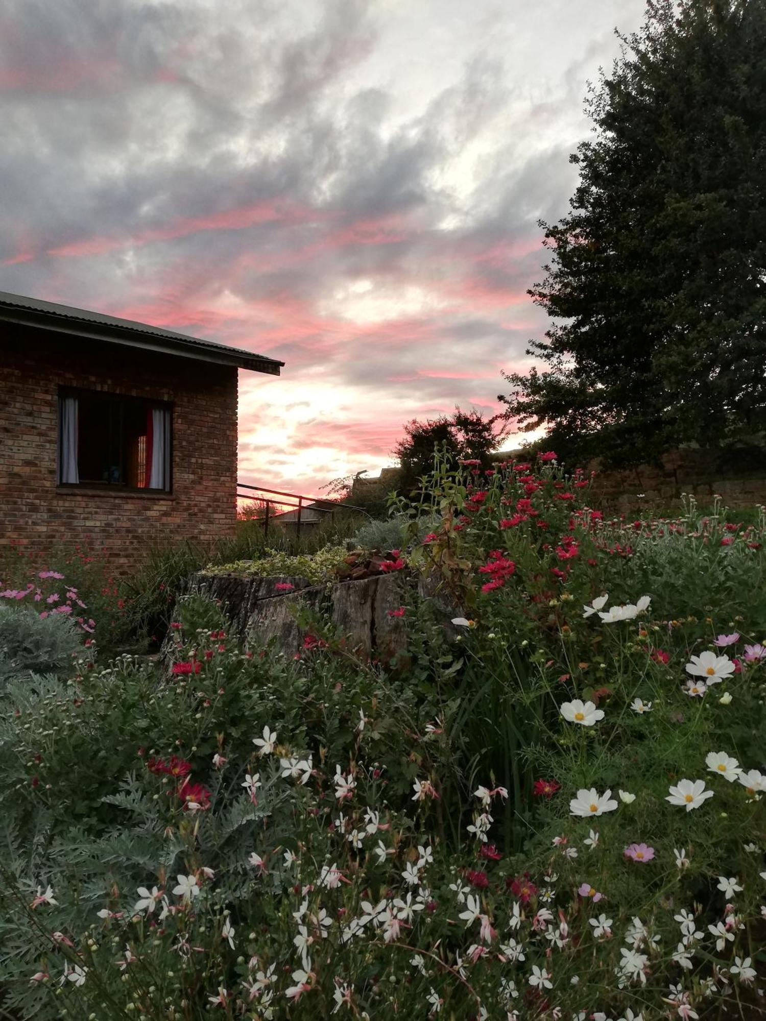 Sheeprun Farmstay Maclear Exterior foto
